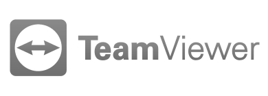 TeamViewer dedicated team 