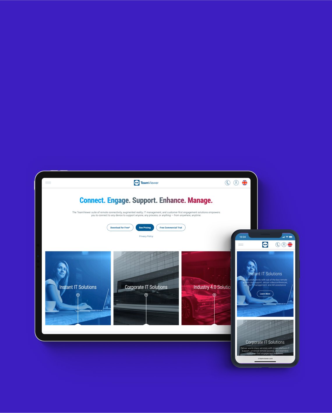 teamviewer large image