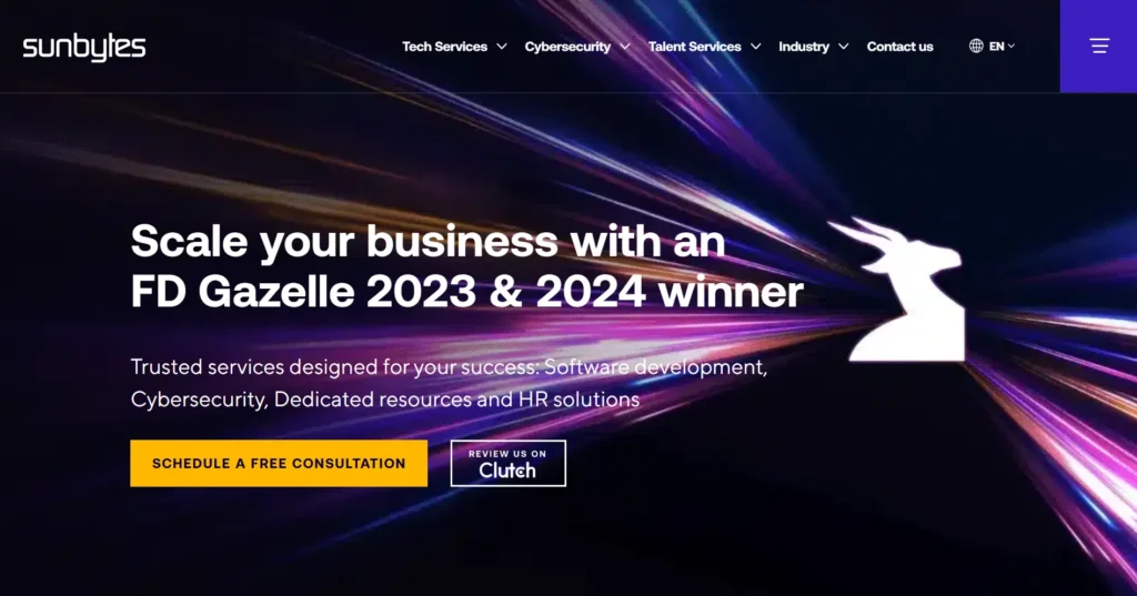 Top IT Staff Augmentation Providers in the Netherlands_Sunbytes