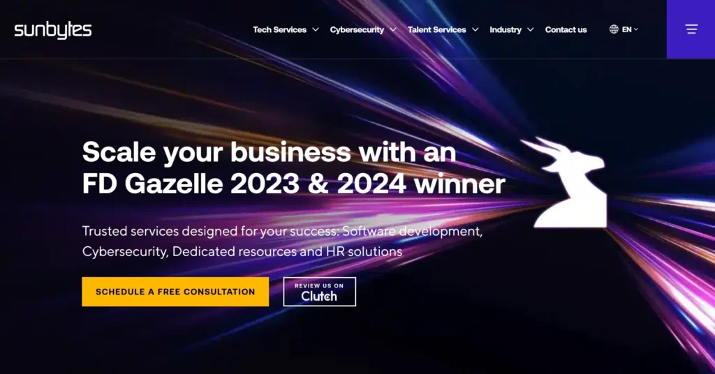 Top web development companies in the Netherlands_Sunbytes