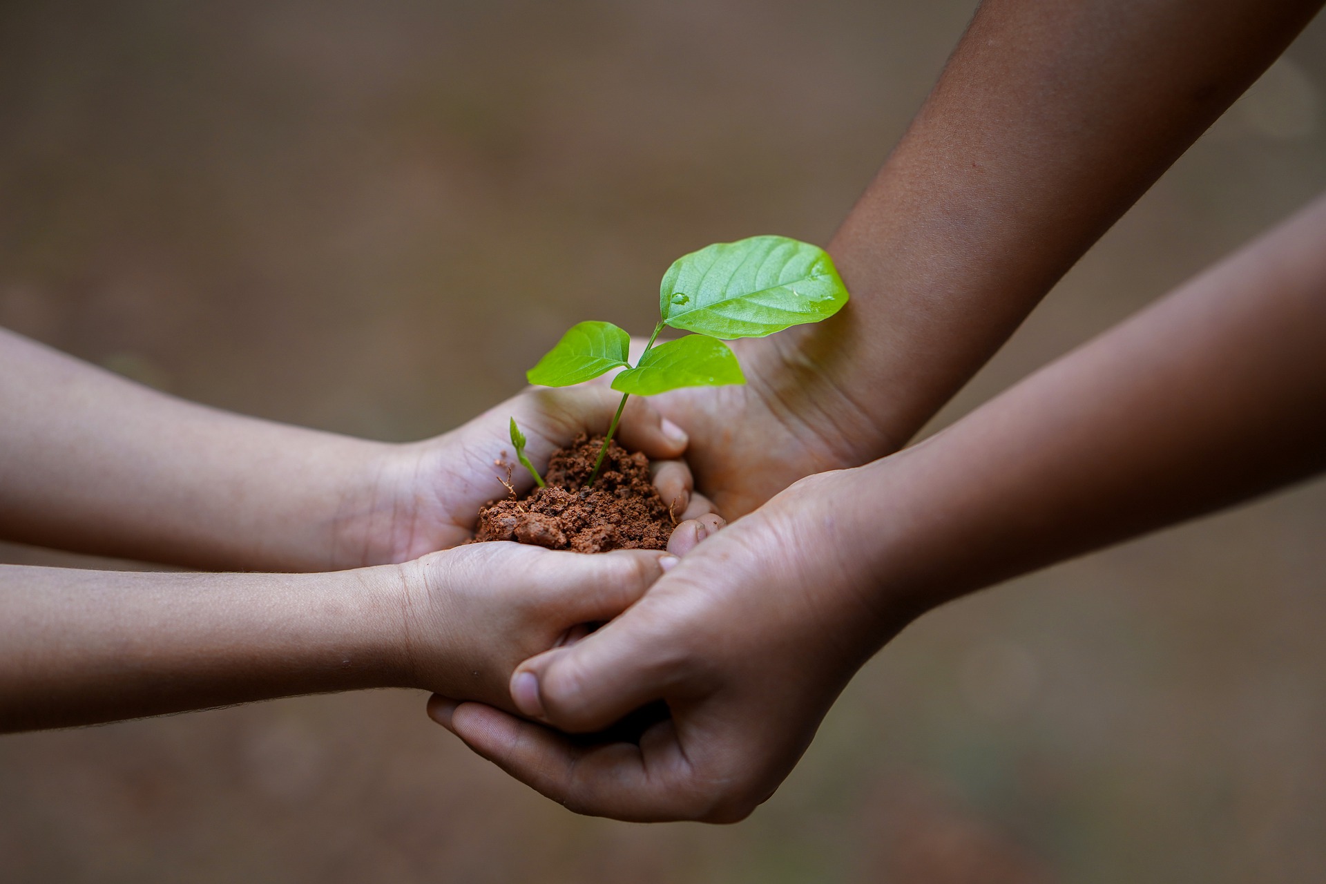 charity work sunbytes