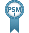 Professional Scrum Master
