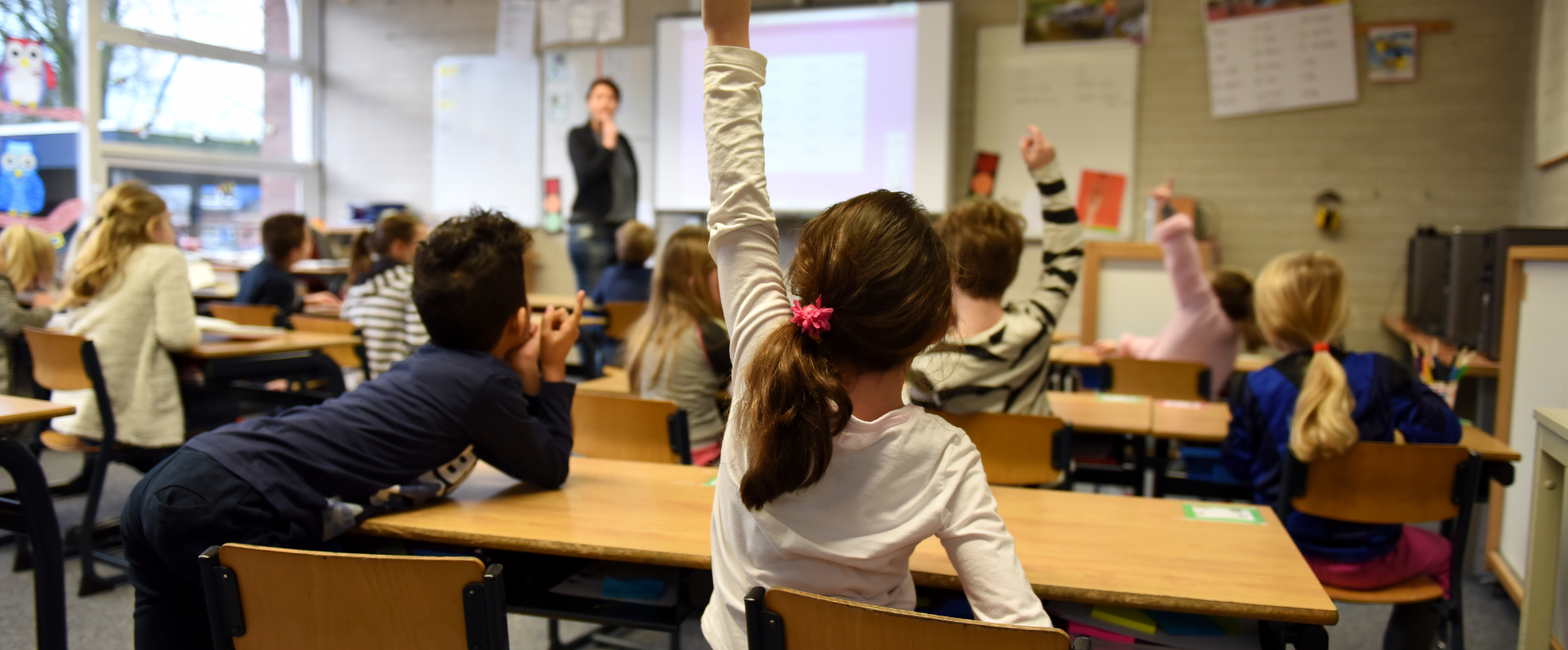 Custom software for educational institution