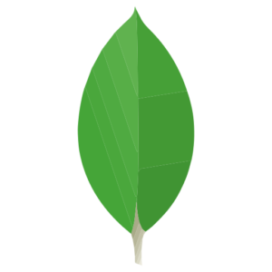 MongoDB